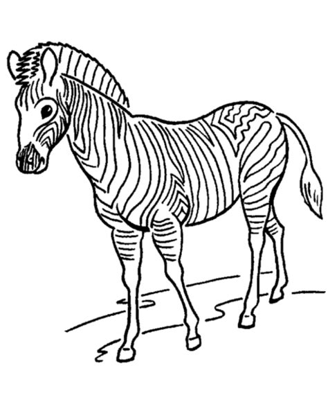 Coloring page featuring a zebra