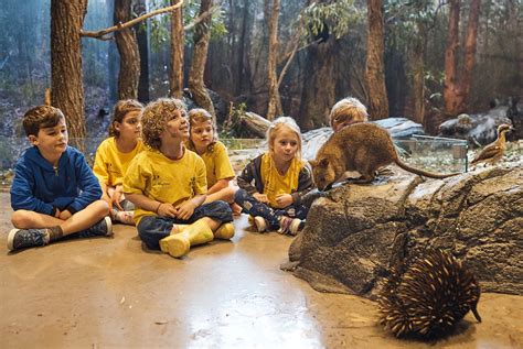 Audubon Zoo Education Programs