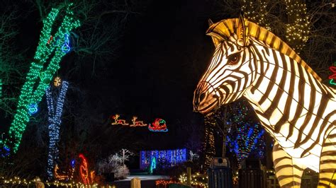 Zoo Lights