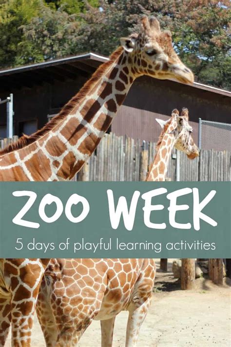 Zoo Sprunkis playing in their enclosure